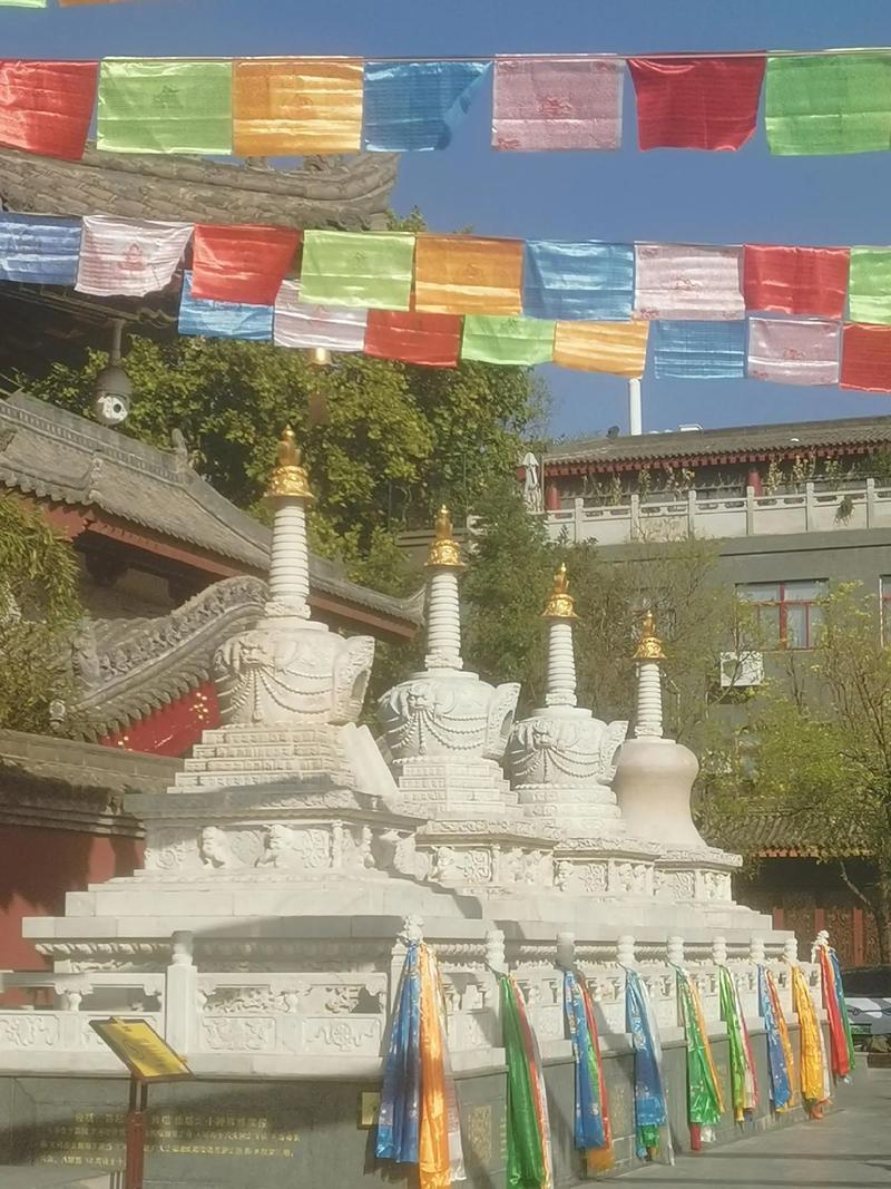 漂亮的李慧珍剧情介绍 漂亮的李慧珍剧情介绍