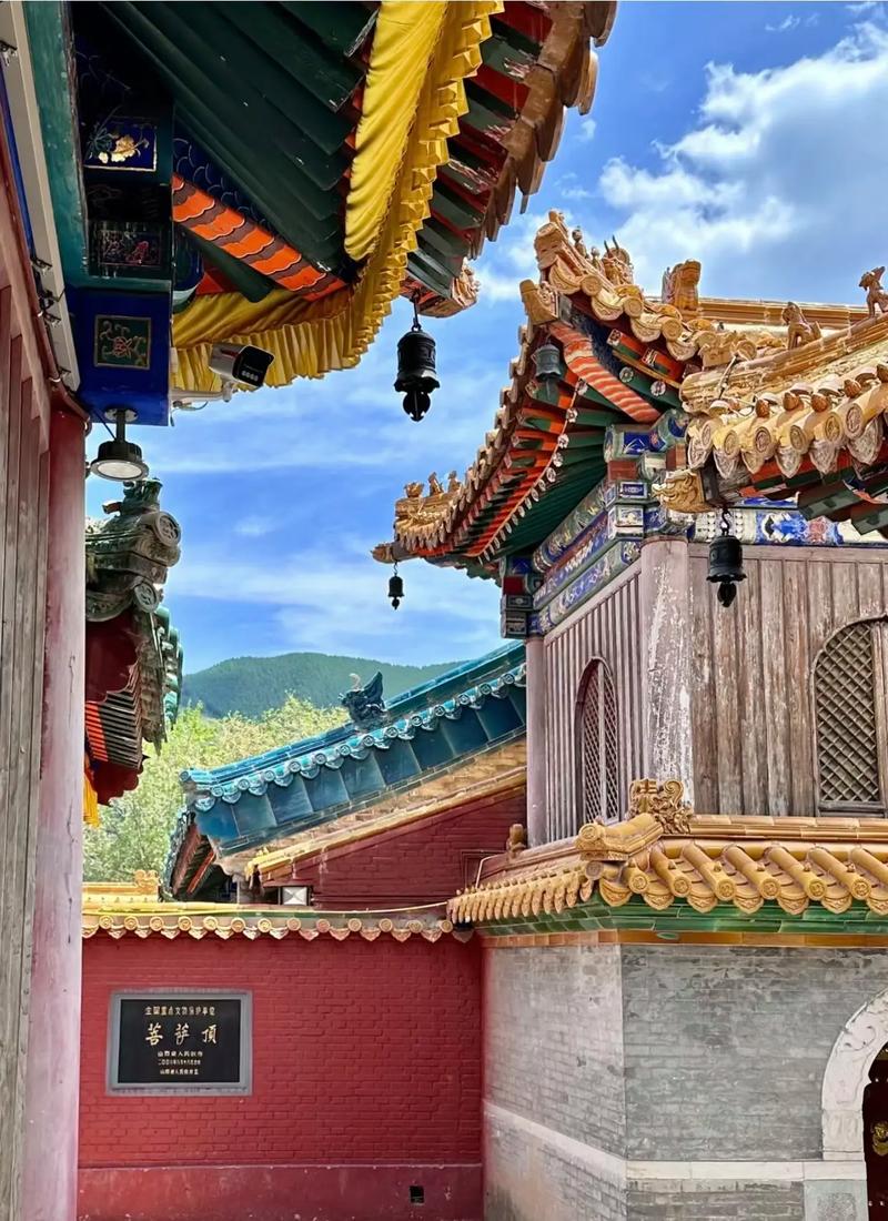 ����������������˭֪������������һ�����