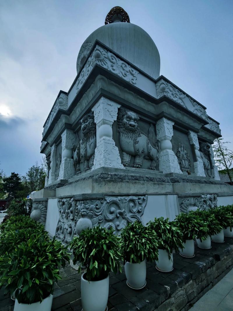 �����ڱ�����������