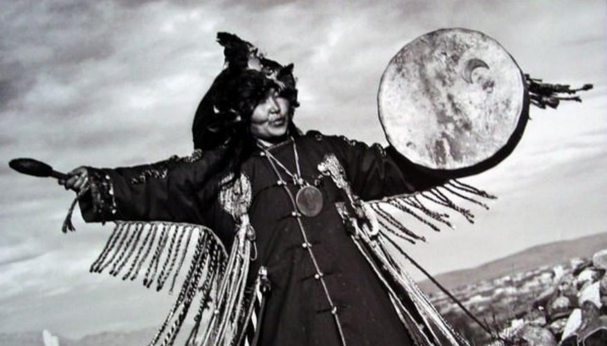 �μ����׺��� �μ����״�����ʲô