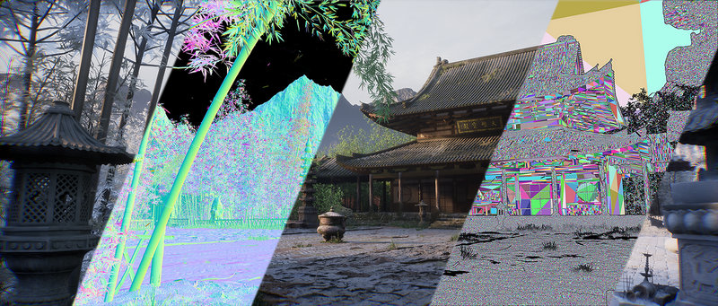 ������������ʲôֲ���ˮ��