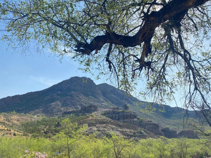 ��������ʲô���ֺ��� ��������ĵ�������