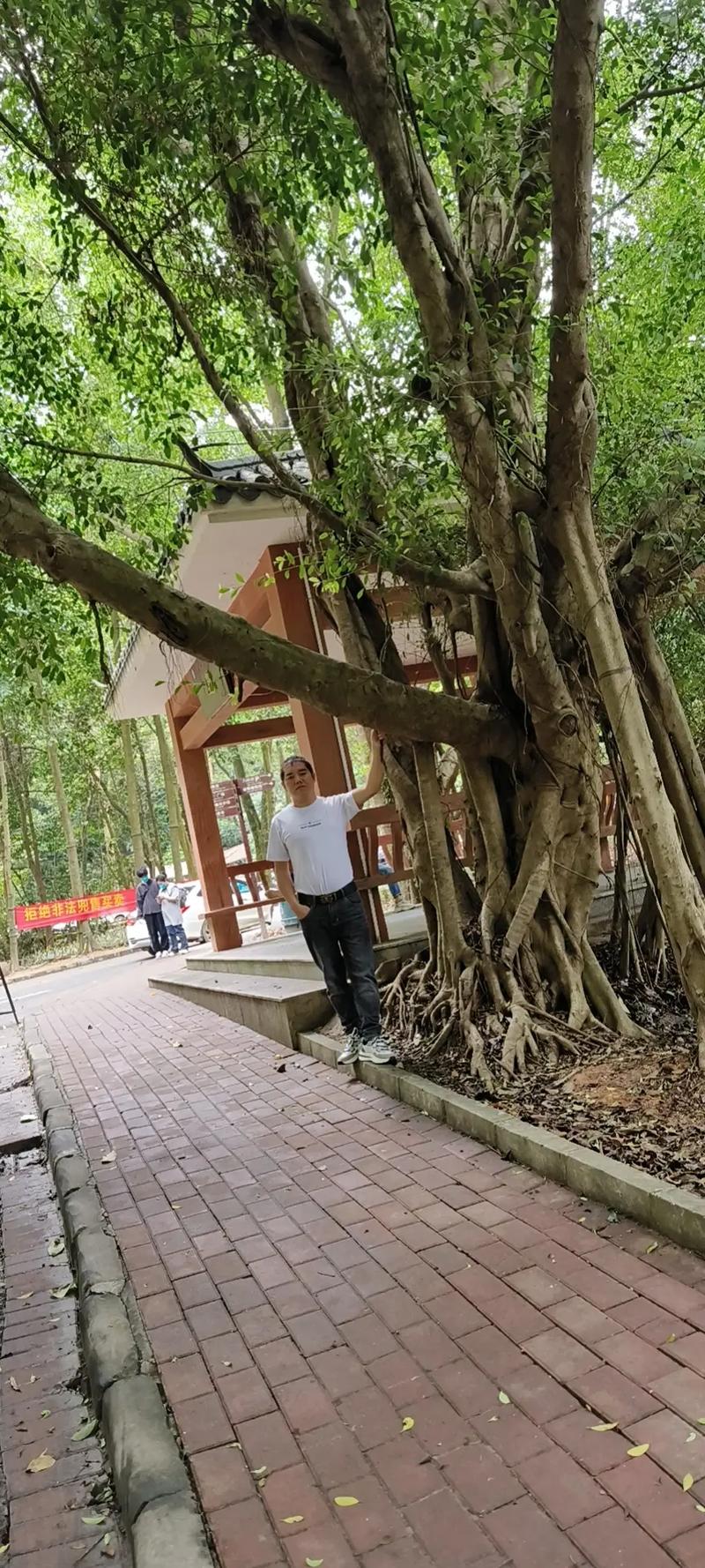 ����һ�ڴ�Ӫл��Ϊʲô���ڿ��ִ�Ӫ