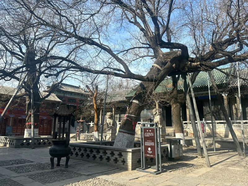 ����֮���� ����֮����������֮�չ���