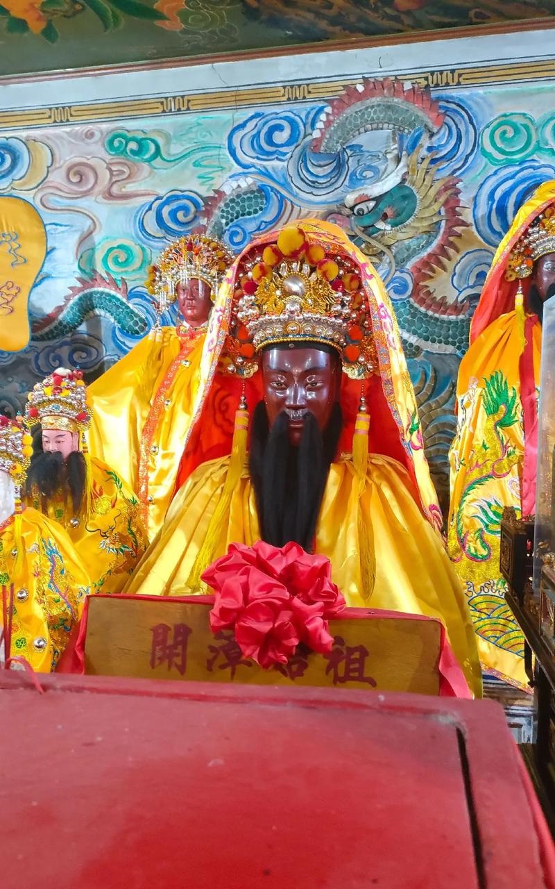 ���������Ƶ��Ŷ�����