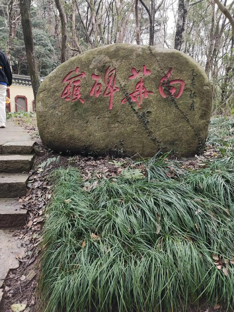 ŵ���ǹ�˾�����ܴӸ�ĸְҵ�л�ȡ���(�ѵ�ŵ���ǹ�˾������Ӧ���ô�ͳ�����ϴ��䷨��)