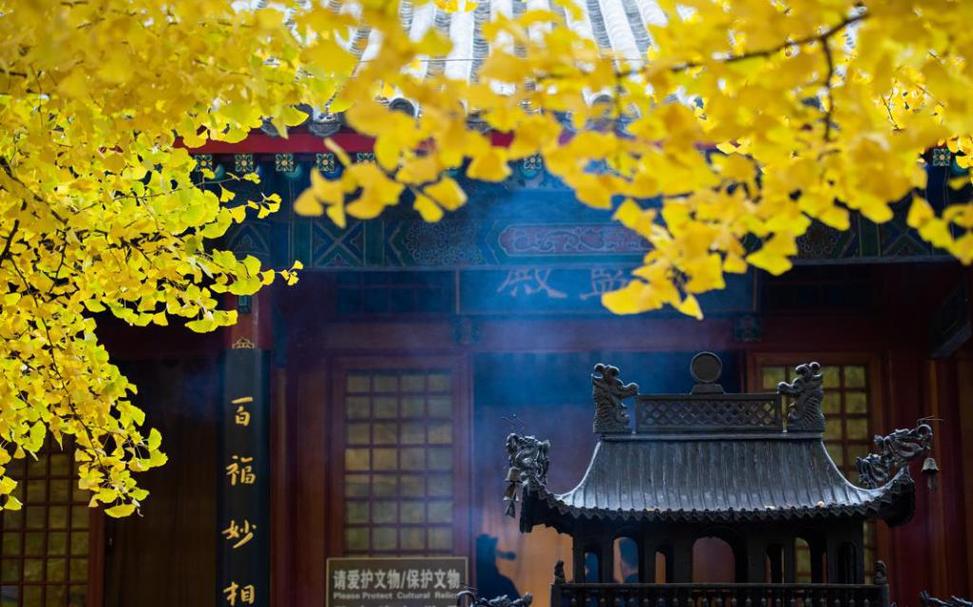 ���̶Գ� ���ֲ��ϵ�������ϻ�����η� 