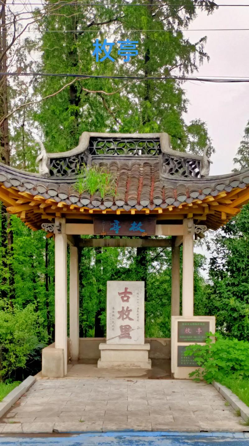 ���������������ȼҾ�