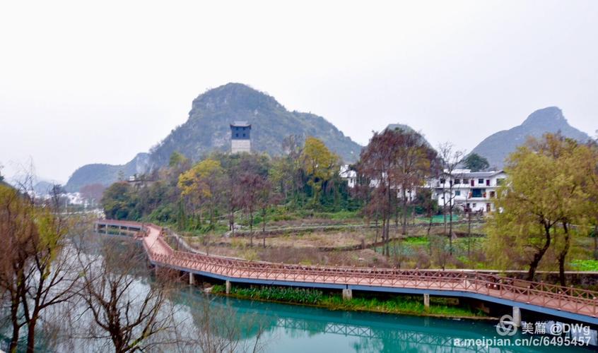 杨钰莹个人资料和现状 杨钰莹个人资料和现状