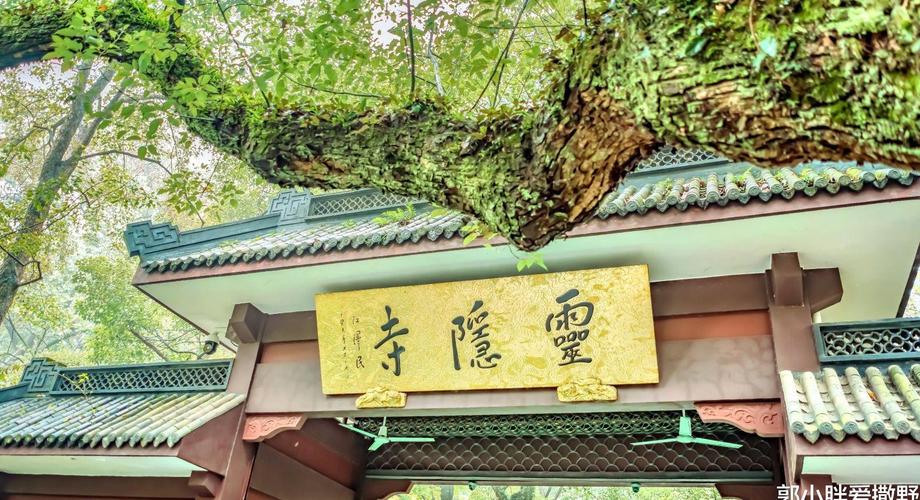 �����ǰ��� ���ǵİ��Ժϼ���ʲô