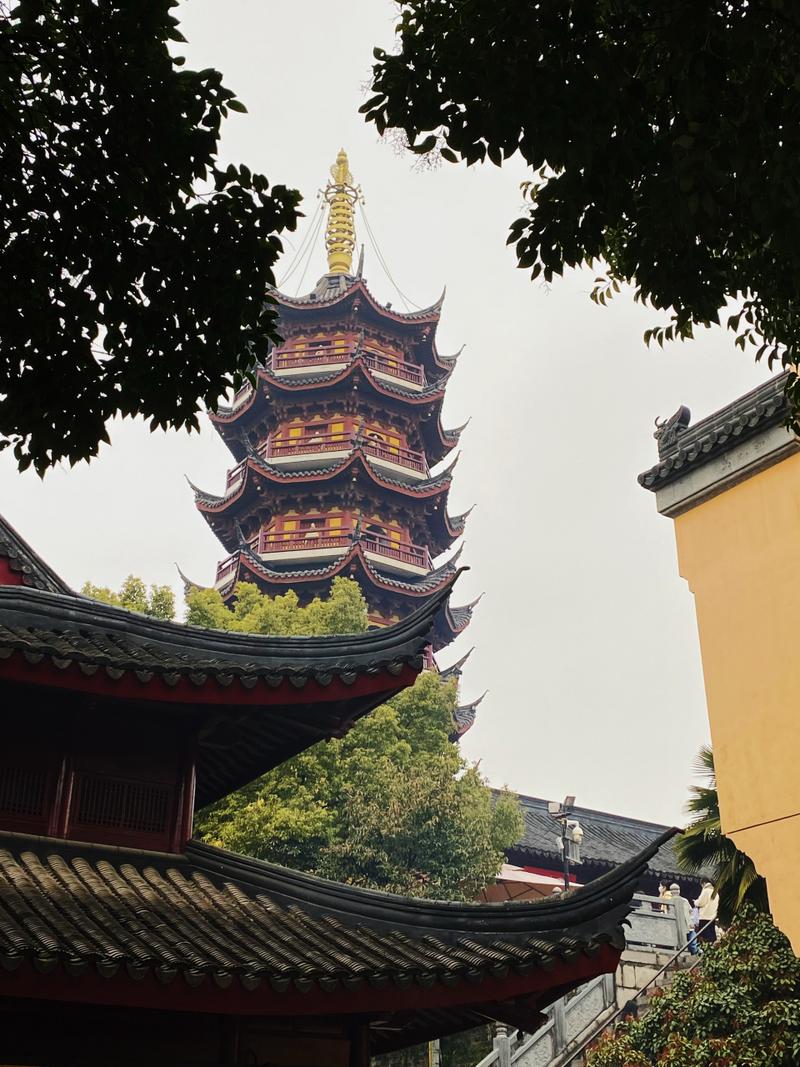 ������ɱ����ʲô��˼ ����������ɱ������