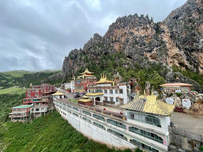 ��˾������ȫ������������ܱܿ��̳�˺�������������(��˾������ȫ������������ܱܿ��̳�˺���Ӱ����)