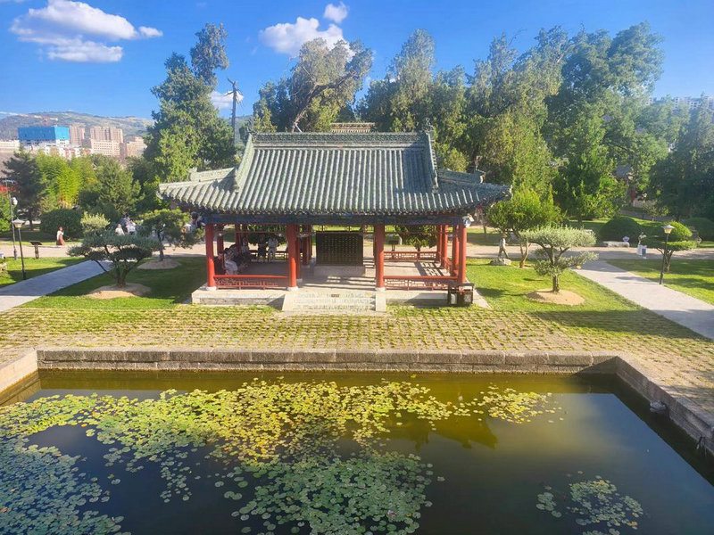 ���䵥����Ϸ100��