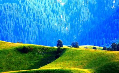 �������Ů�˲���Ȣ �������Ů�˺ܻ�