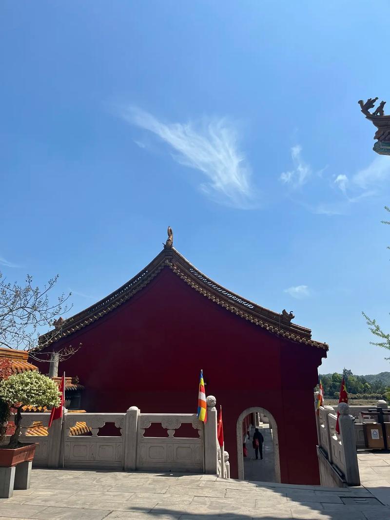 ����������ô���� ����������ô������ȷ��