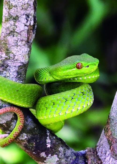 己亥年男女方生日配对表最新图片真的能影响感情和婚姻幸福吗值得我们认真对待建议 己亥年男女方生日配对表最新图片真的能影响感情和婚姻幸福吗值得我们认真对待建议