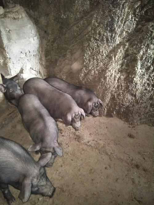 �Ϻ�������ǩ67ǩ_����ǩ��ʾս��ʧ������(�Ϻ�������ǩ67ǩ�е�ս��ʧ��ʾ�������ƿ���)