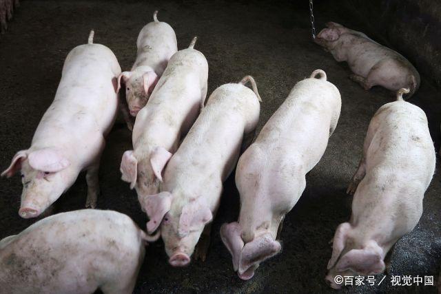 ����Ů���� ����Ů������Ÿ