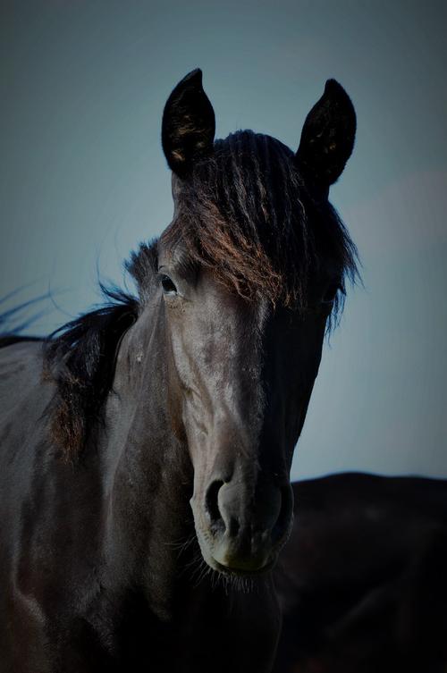 ����ǿ�������ϼ�����