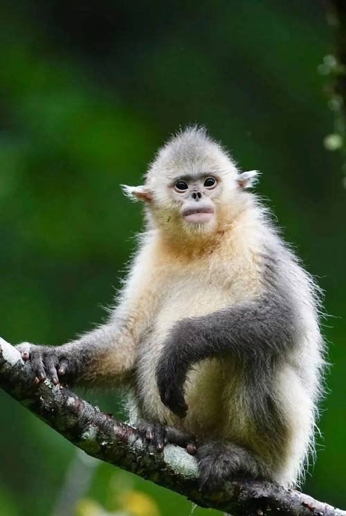 Ů����൥һ������