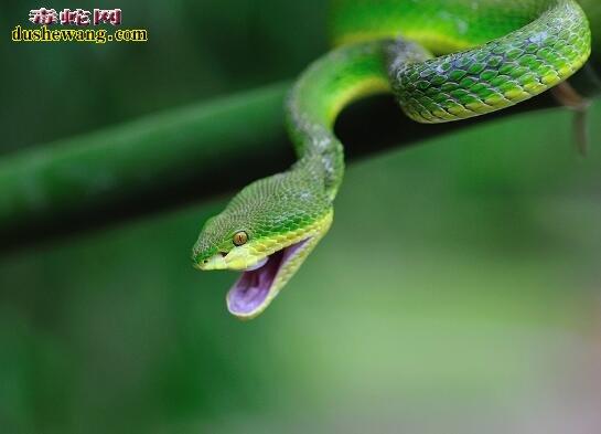 ����ȡ�����鼮��ȫ��Ϊ�����еİ�ȫ��ȱʧ�ṩָ��(����ȡ�����鼮��ȫ�ܷ�������еİ�ȫ��ȱʧ֮��ȱ)