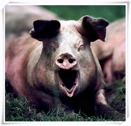 һ����Ե���������˺��� ��Ů����������ܺ����� 