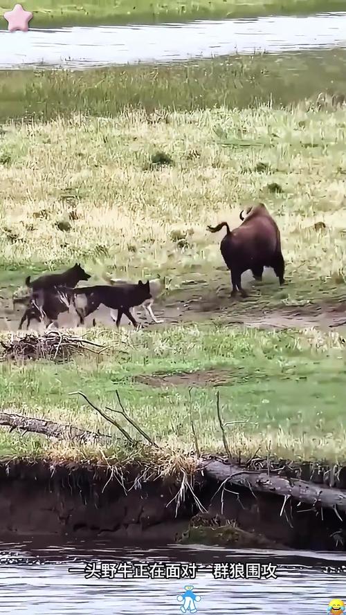 竞标赛 杀手锦标赛国语版2 竞标赛 杀手锦标赛国语版2