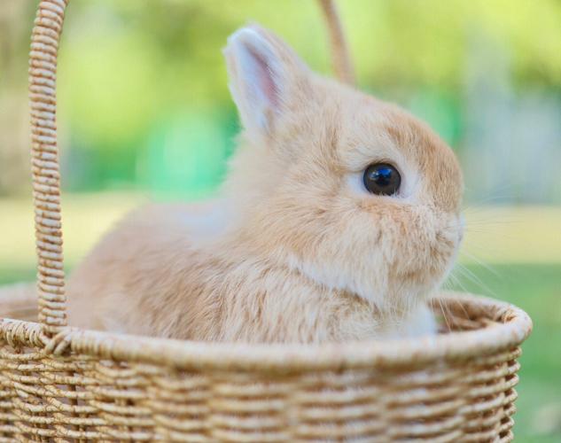 ����׵�������Щ��Ӱ