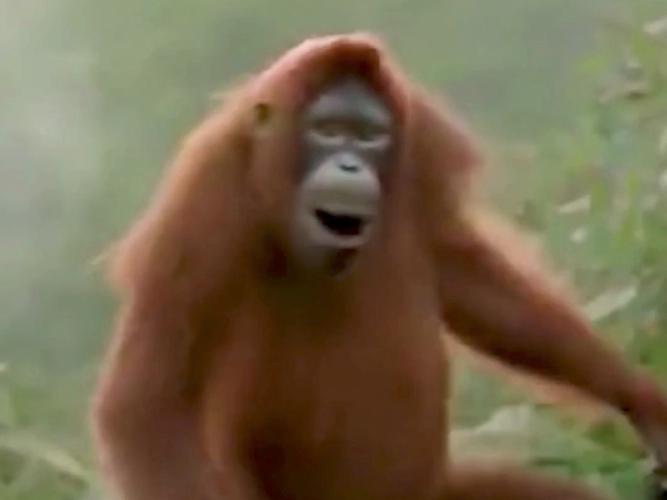 �۷���ô�ϳ�������26����Ӱ�� 47�긴����Ϊ