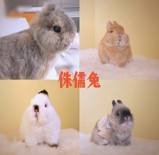 好看的古装电视剧大全 好看的古装电视剧大全