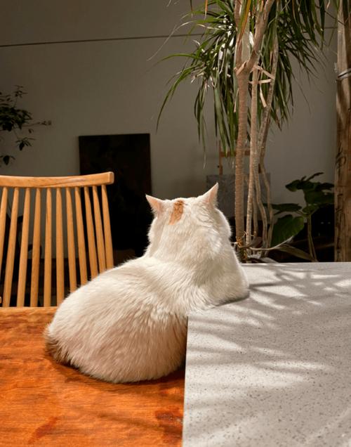 关帝灵签25财运能否转危为安(关帝灵签25财务状况令人吗) 关帝灵签25财运能否转危为安(关帝灵签25财务状况令人吗)