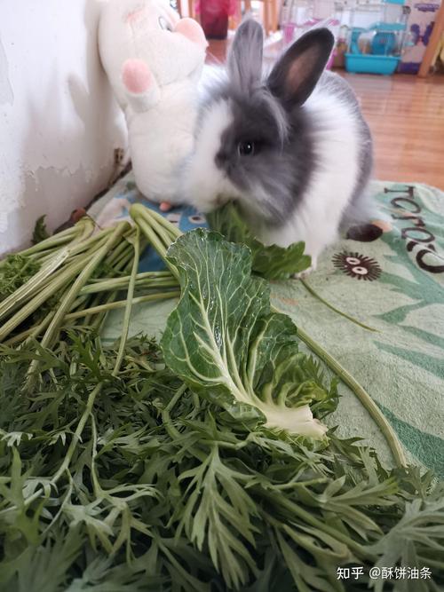 �һ��˵��Ӿ���Ա��