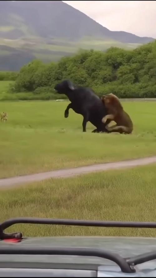 ��Ӱ������_��������