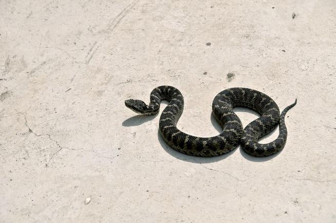 �����ǩ��ʮǩ_�з�����_��������(�����ǩ��ʮǩ_�з�����_���к���Ӱ��)