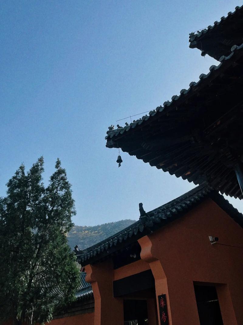 ϲ��������_ϲ�������־޽���ѡ