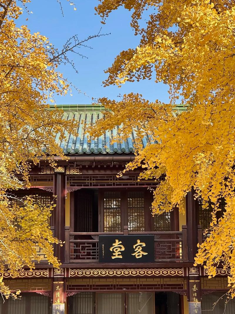 店面风水布局指南 如何优化店面方位与内部摆设 店面风水布局指南 如何优化店面方位与内部摆设