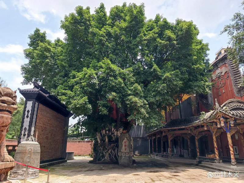 ���ֺ��öԷ����εĻ�