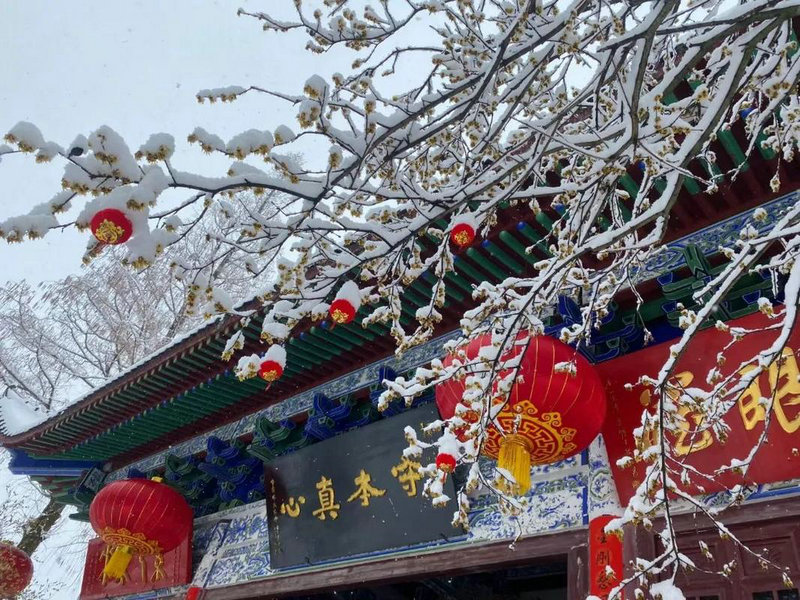 ������˾����ʱ������ѧҵ���Ƶ�����(������˾�������ִ�������ѧҵ������)