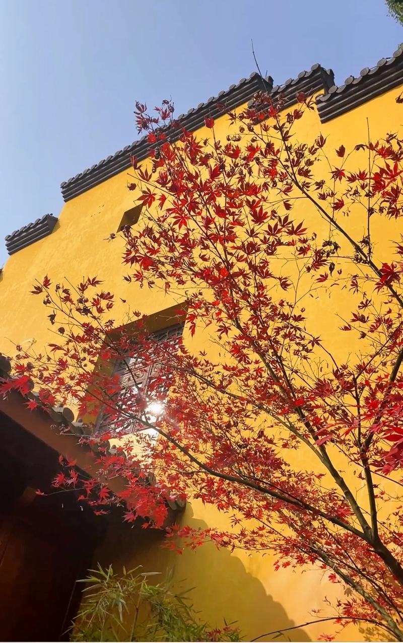 ���������� ������˭������