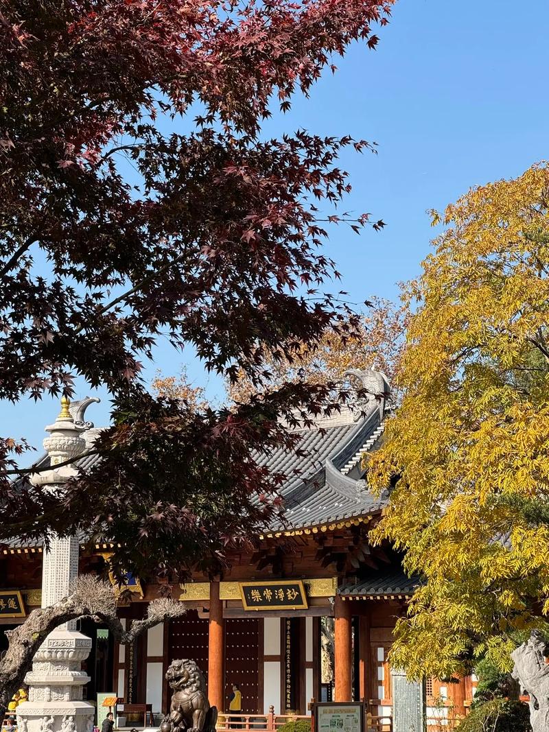 �����������ձ�2026 2026��ʮ����Ф���ձ�