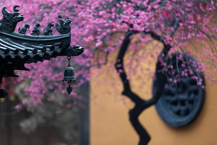 �����ǩ����ǩ��ǩ_�罻�־�ĳ�����������(�����ǩ����ǩ��ǩ_��������罻�־���¶���)