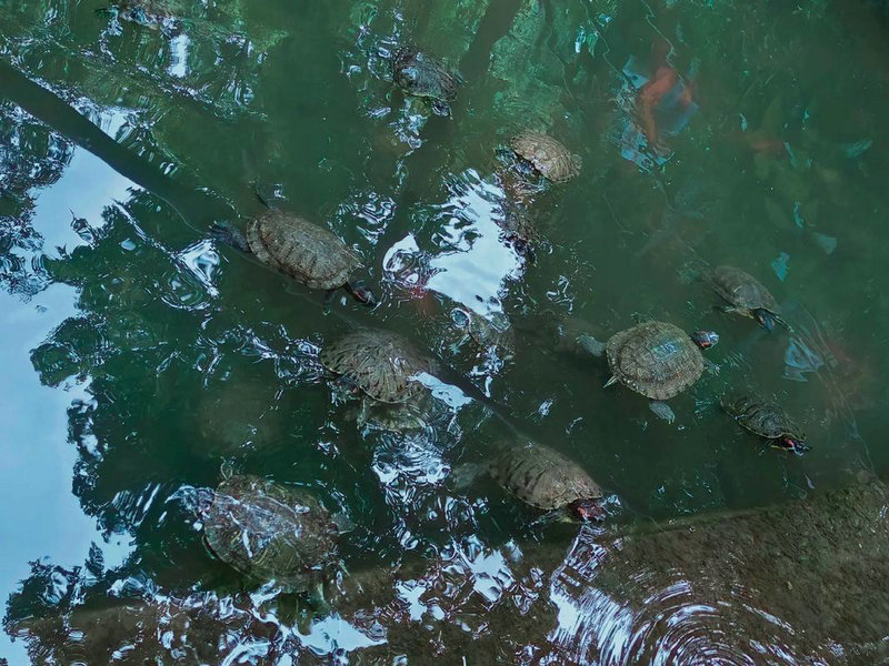 ����������˵���Ϣ�� ���������е�����֮˵����ָʲô