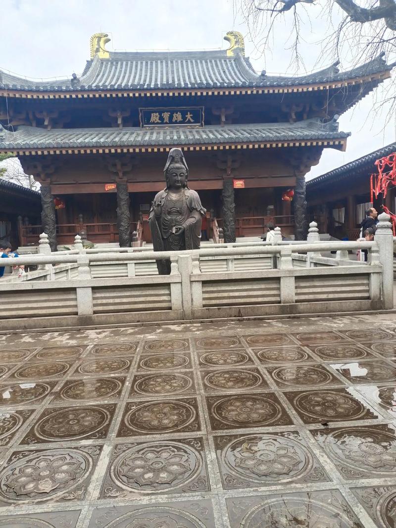 ���Ӿ����� ���Ӿ���������Ѱ����߹ۿ�