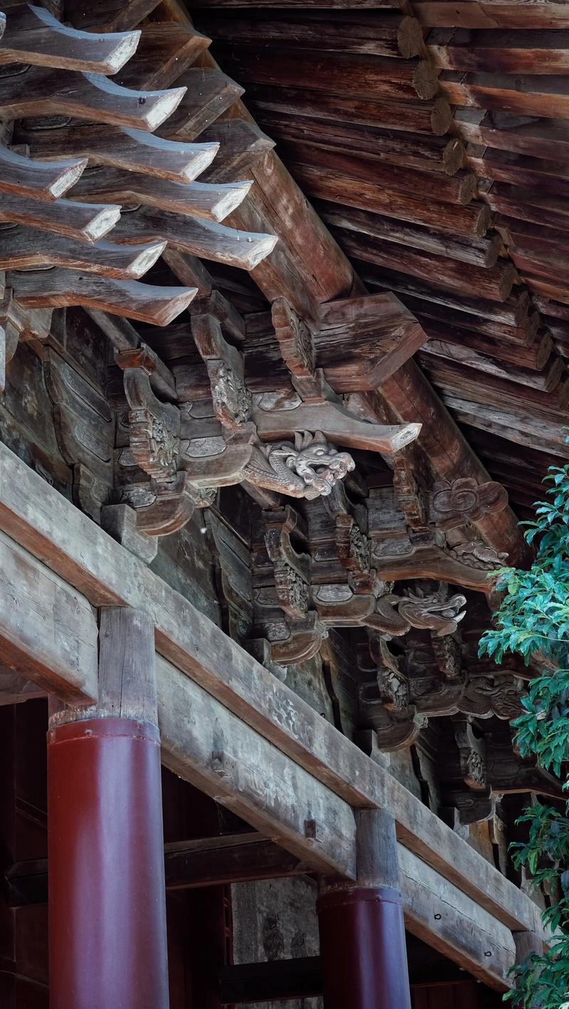 客厅常年见不到阳光怎么化解 客厅常年见不到阳光怎么化解