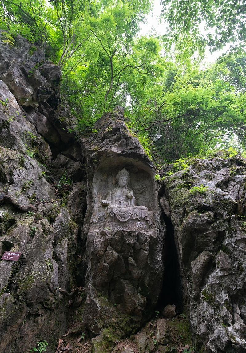 Ů������-2026��12��31�ճ�����Ů���������ȡ �������ں�