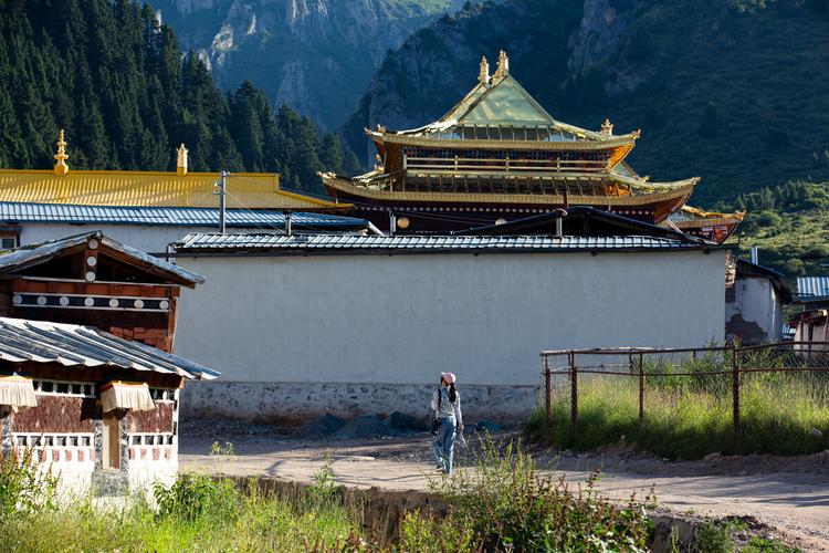 无赖布鲁斯_无赖布鲁斯漫画 无赖布鲁斯_无赖布鲁斯漫画