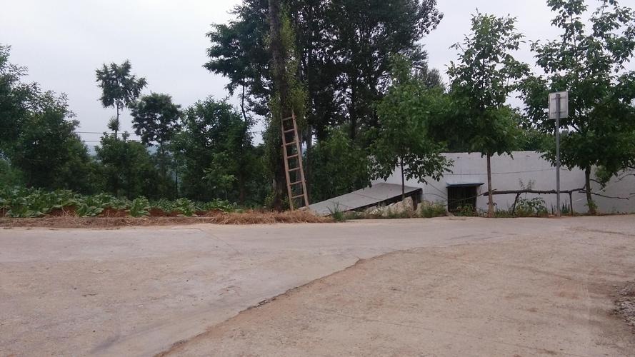 ʹͽ����������Ա��ʹͽ���� ���Ӿ���Ա��