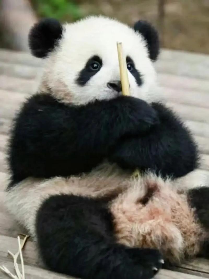 姓名八字测试大运时自我价值感会下降(姓名八字测试大运会影响自我价值感下降) 姓名八字测试大运时自我价值感会下降(姓名八字测试大运会影响自我价值感下降)