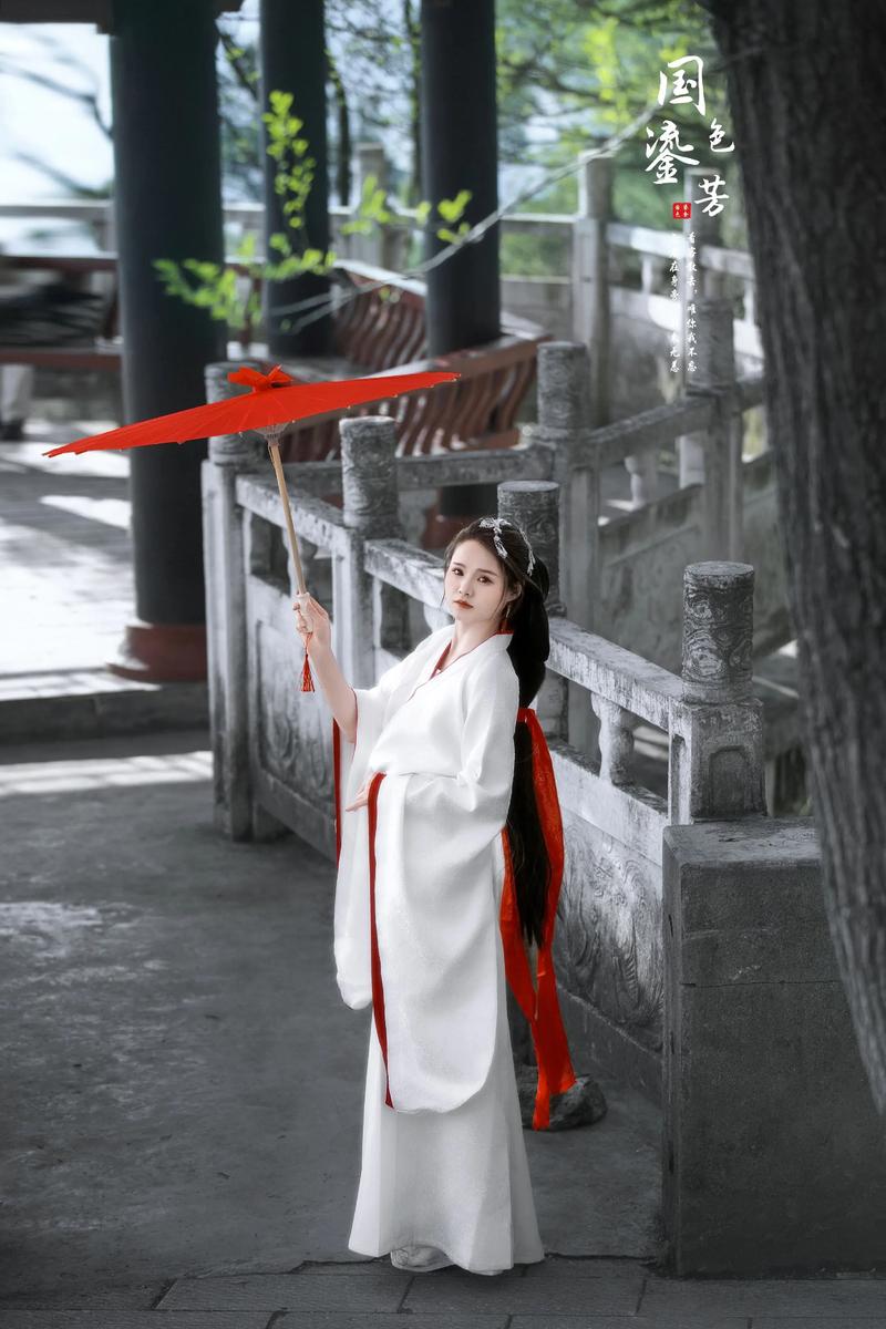 ʮ����Ф�������� ʮ����Ф������