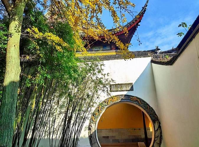 ���㲨���ݵ�ս���Ӿ�